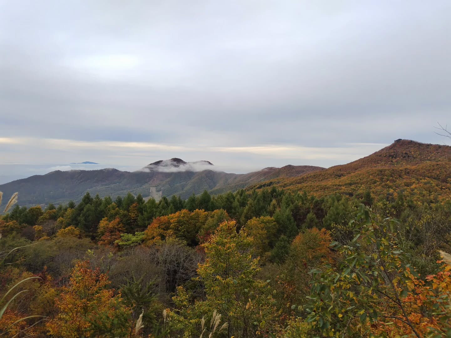 秋の蔵王も素敵な景色が広がっています🍁