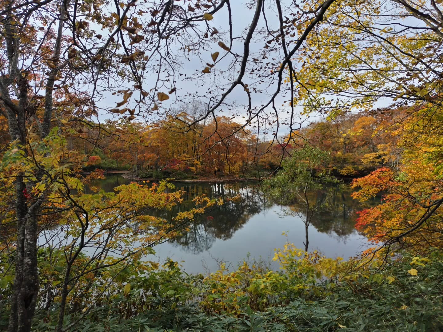 秋の蔵王も素敵な景色が広がっています🍁