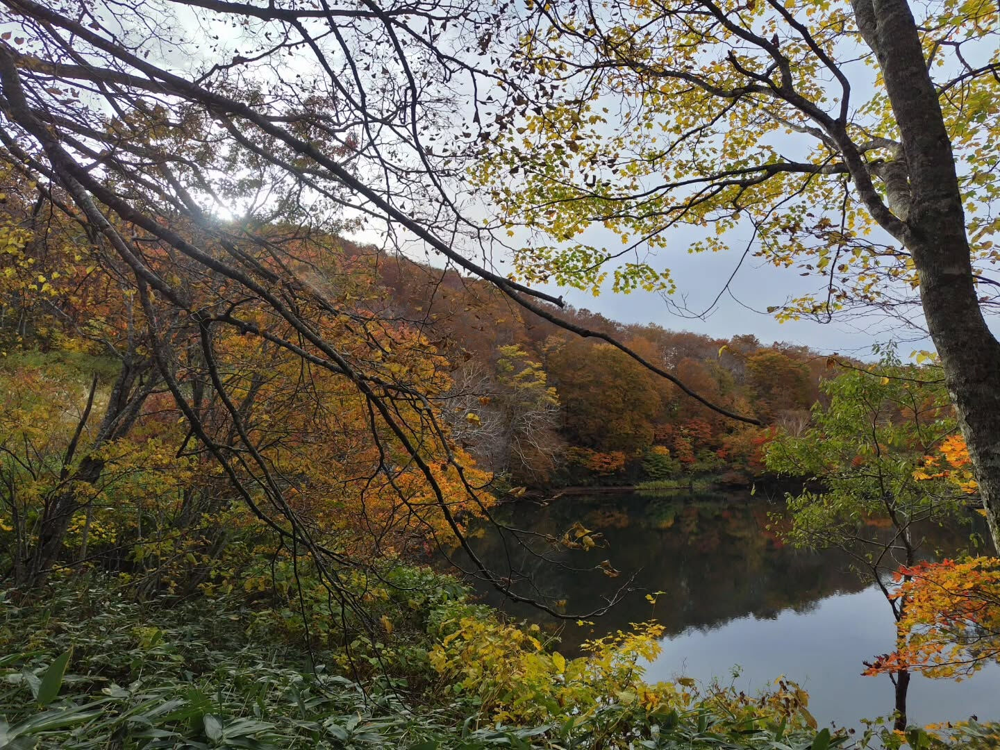 秋の蔵王も素敵な景色が広がっています🍁