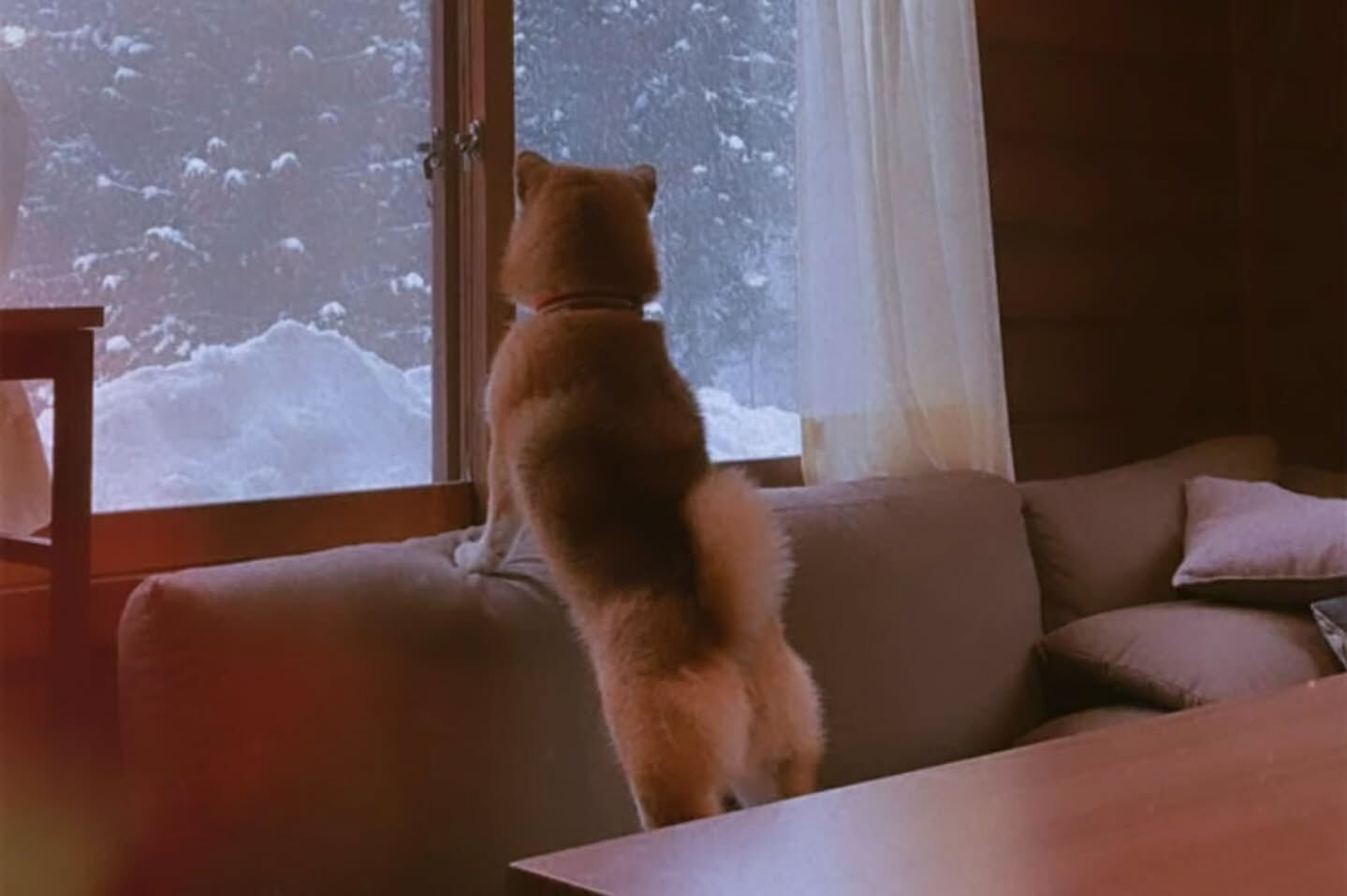 台湾からのお客さまです！6日間ありがとうございました😊