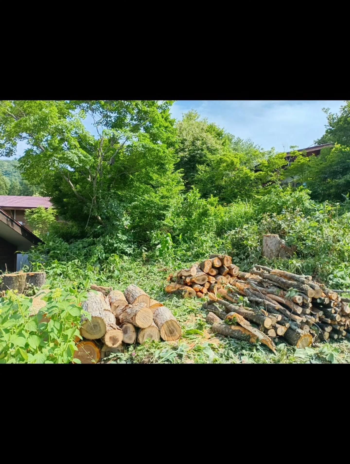 イベントのご案内です🪓