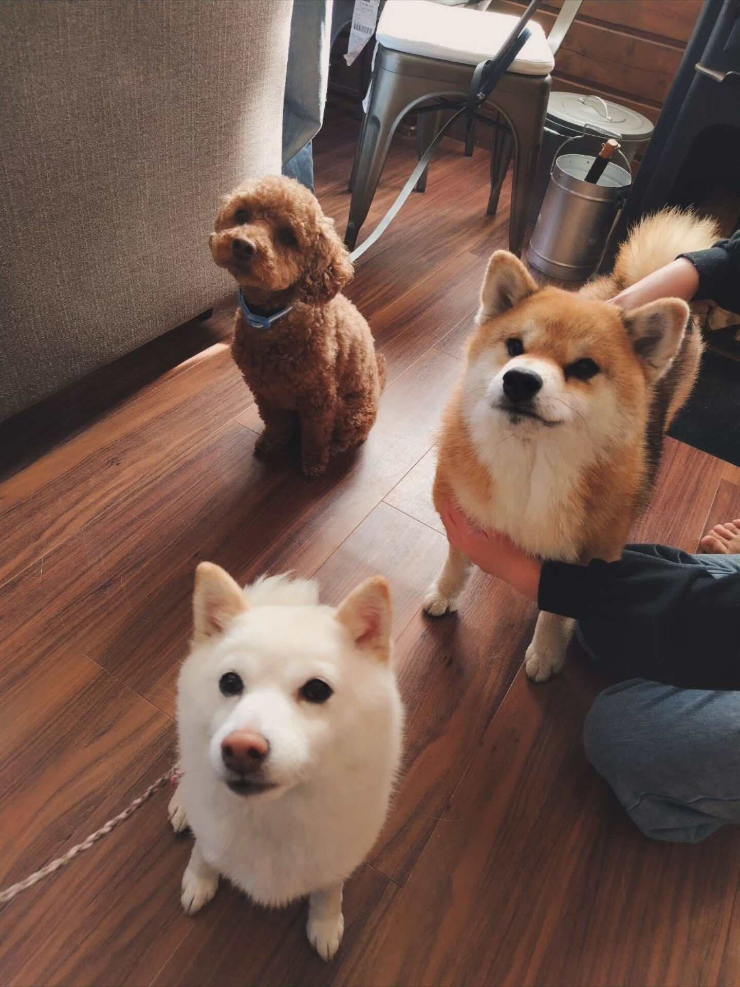 ロックくん、まめちゃん、くすくすくんご宿泊いただきありがとう