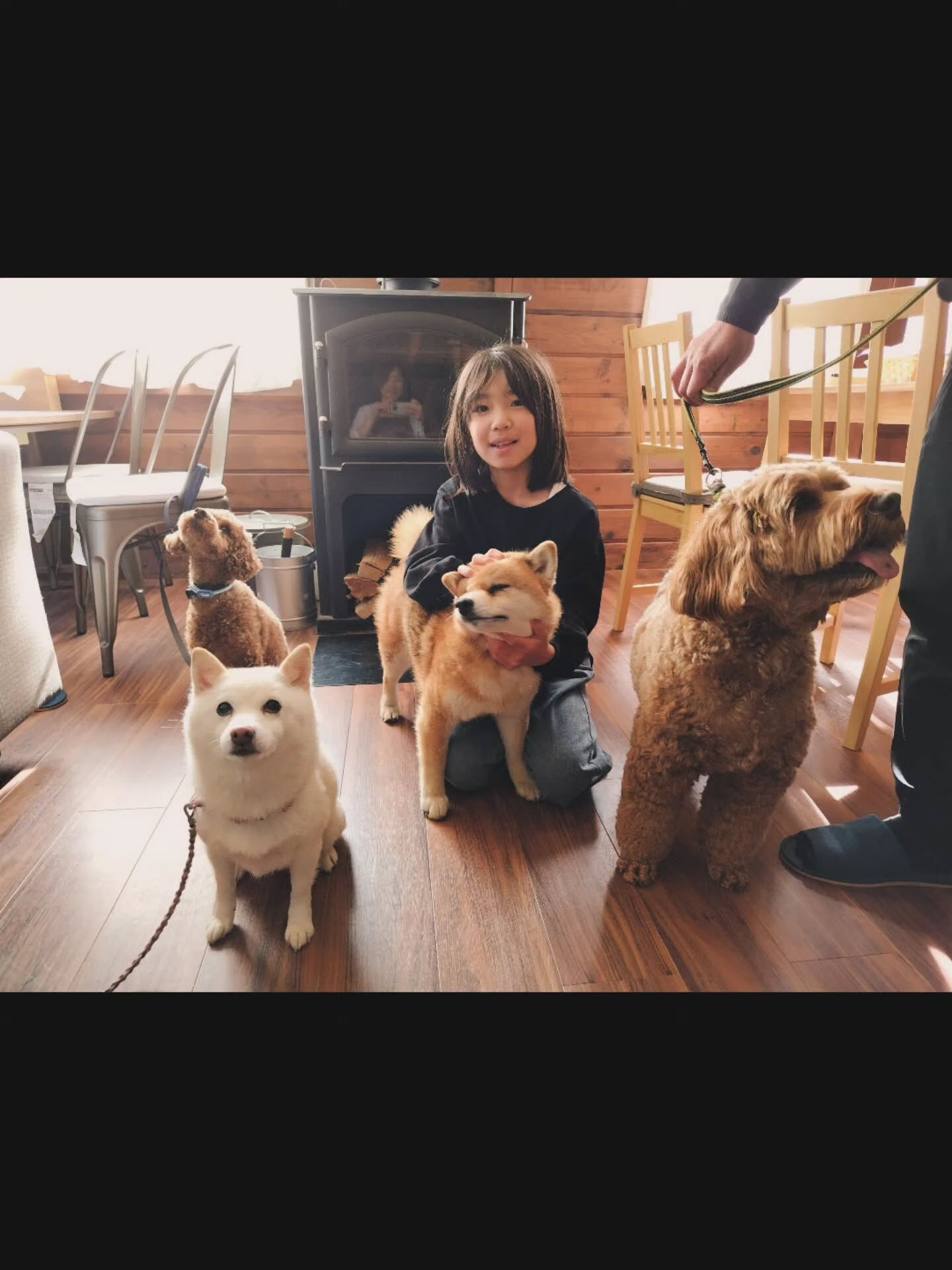 ロックくん、まめちゃん、くすくすくんご宿泊いただきありがとう