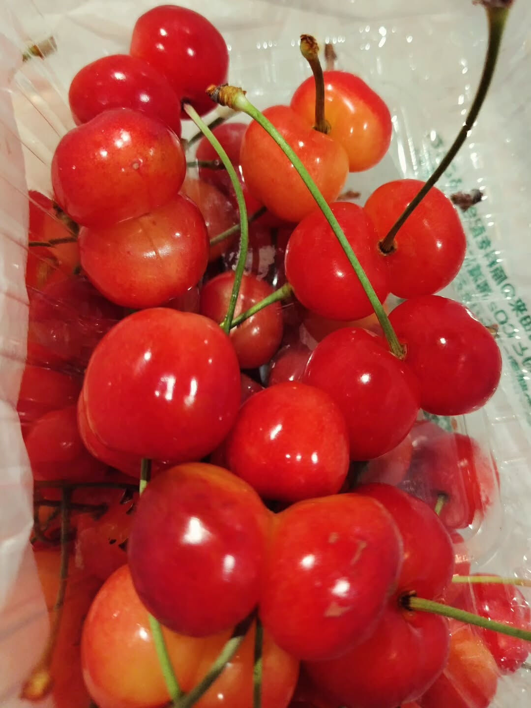 山形は今さくらんぼの最盛期です🍒